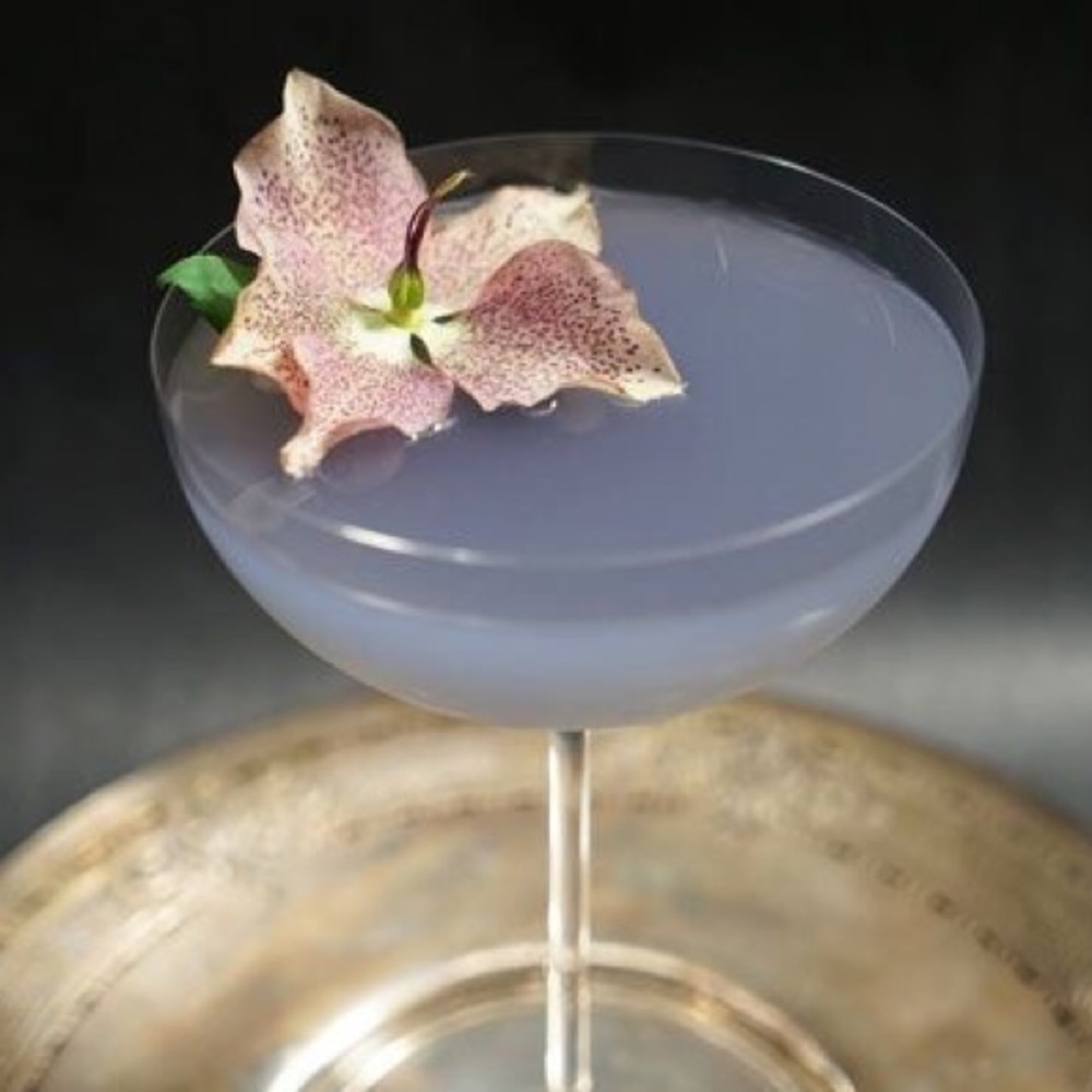 Meet your Posher, Jasmine